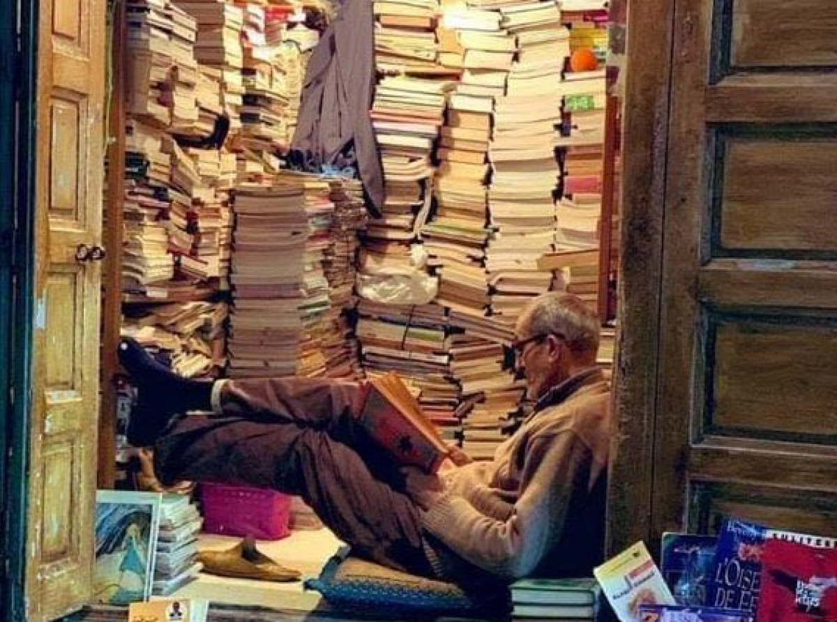 Dışardaki Orman - İçerdeki Orman